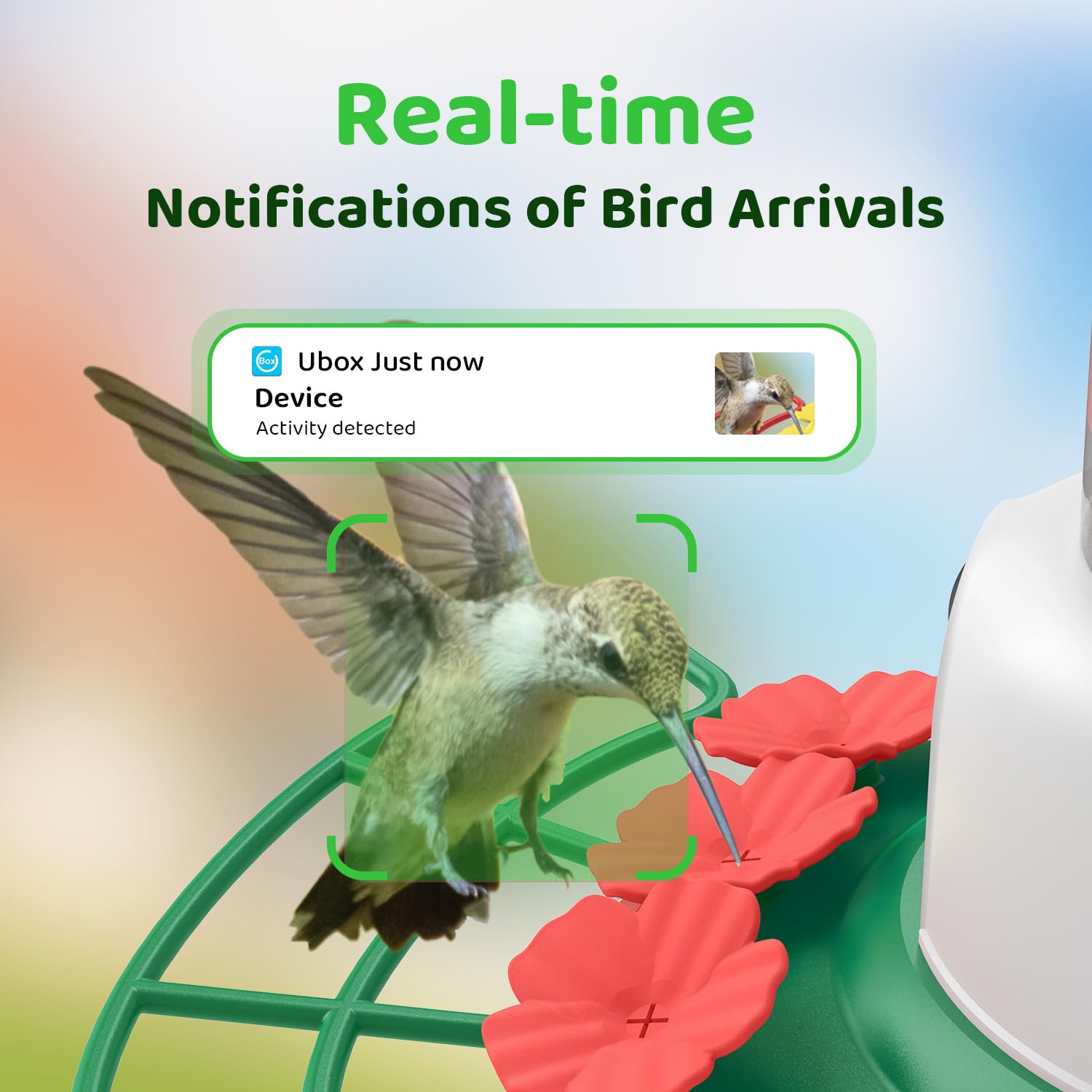 SEHMUA solar panel powers the hummingbird feeder for all-weather use