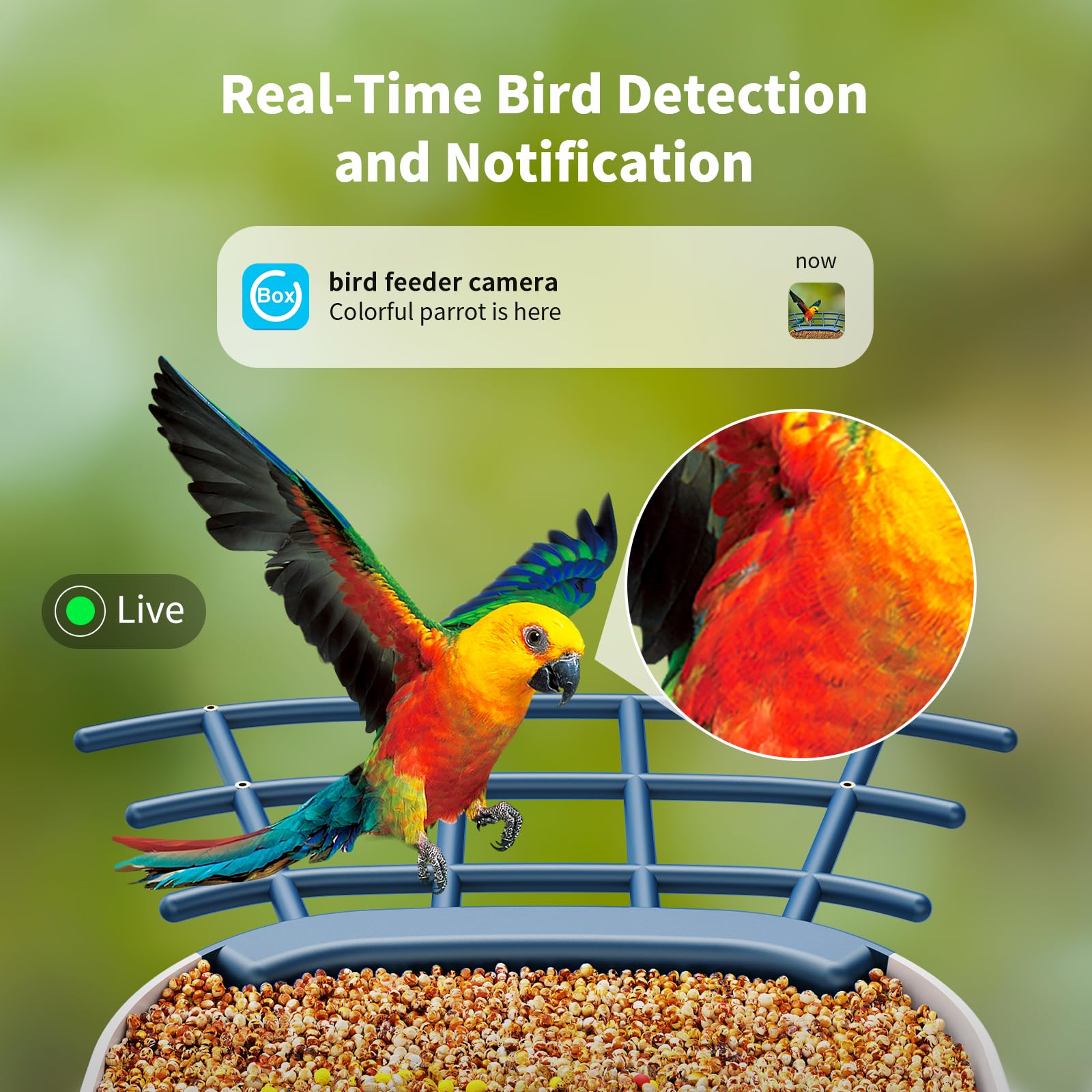 SEHMUA app alerts notify you when birds arrive in real time