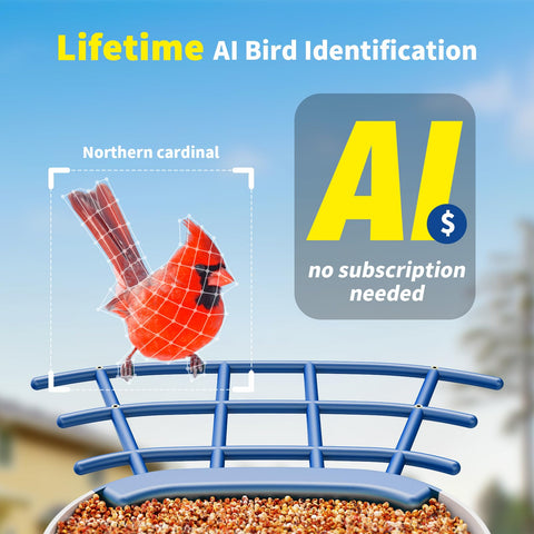 SEHMUA bird feeder camera side view highlighting solar power for outdoor use