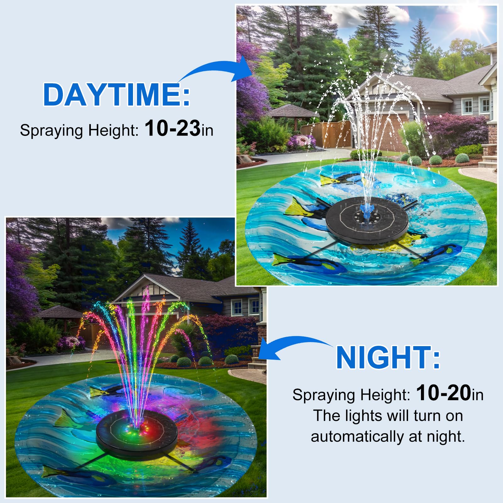 SEIRMEP LED color cycle lights up nights attractively