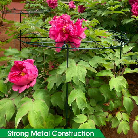 Sekcen green-coated steel peony support blends with foliage while preventing rust.