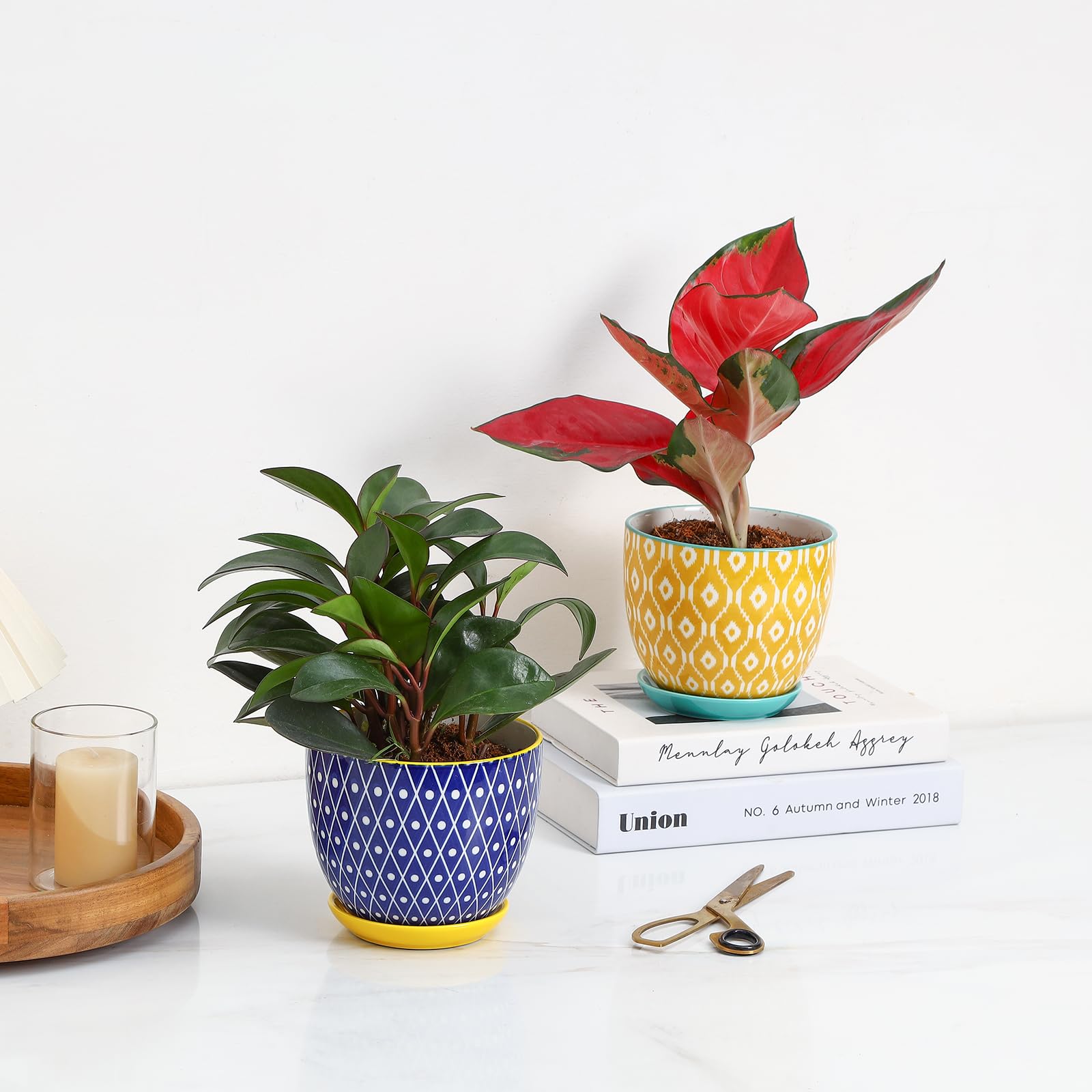 Selamica assorted-colors pot set adds vibrant accents to windowsills and desks.