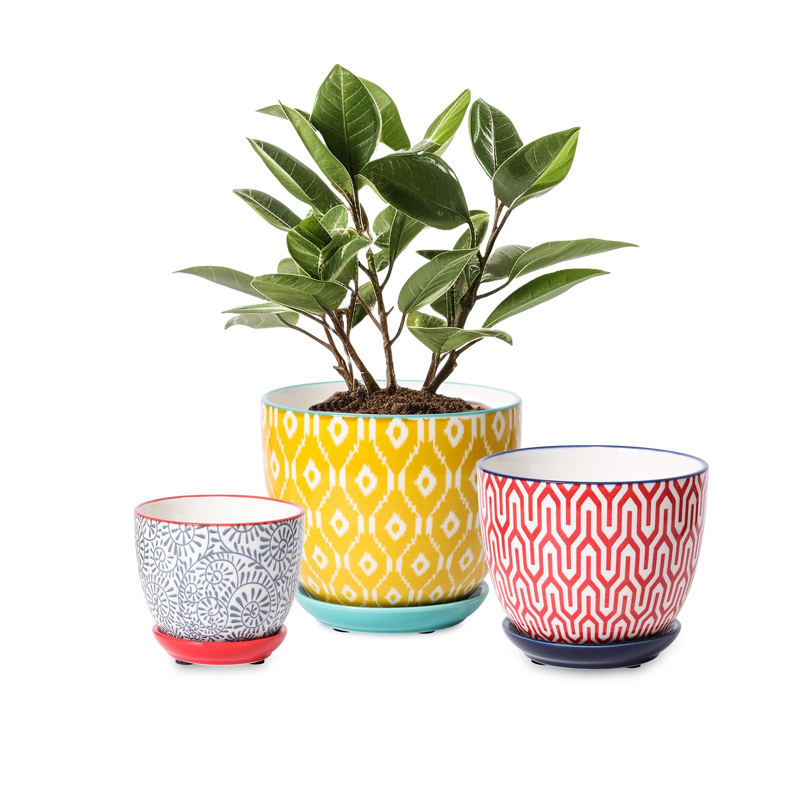 Selamica ceramic plant pot in three sizes with drainage for small to medium plants.