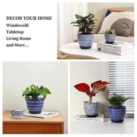Gift-ready Selamica plant pots with packaging suitable for occasions.