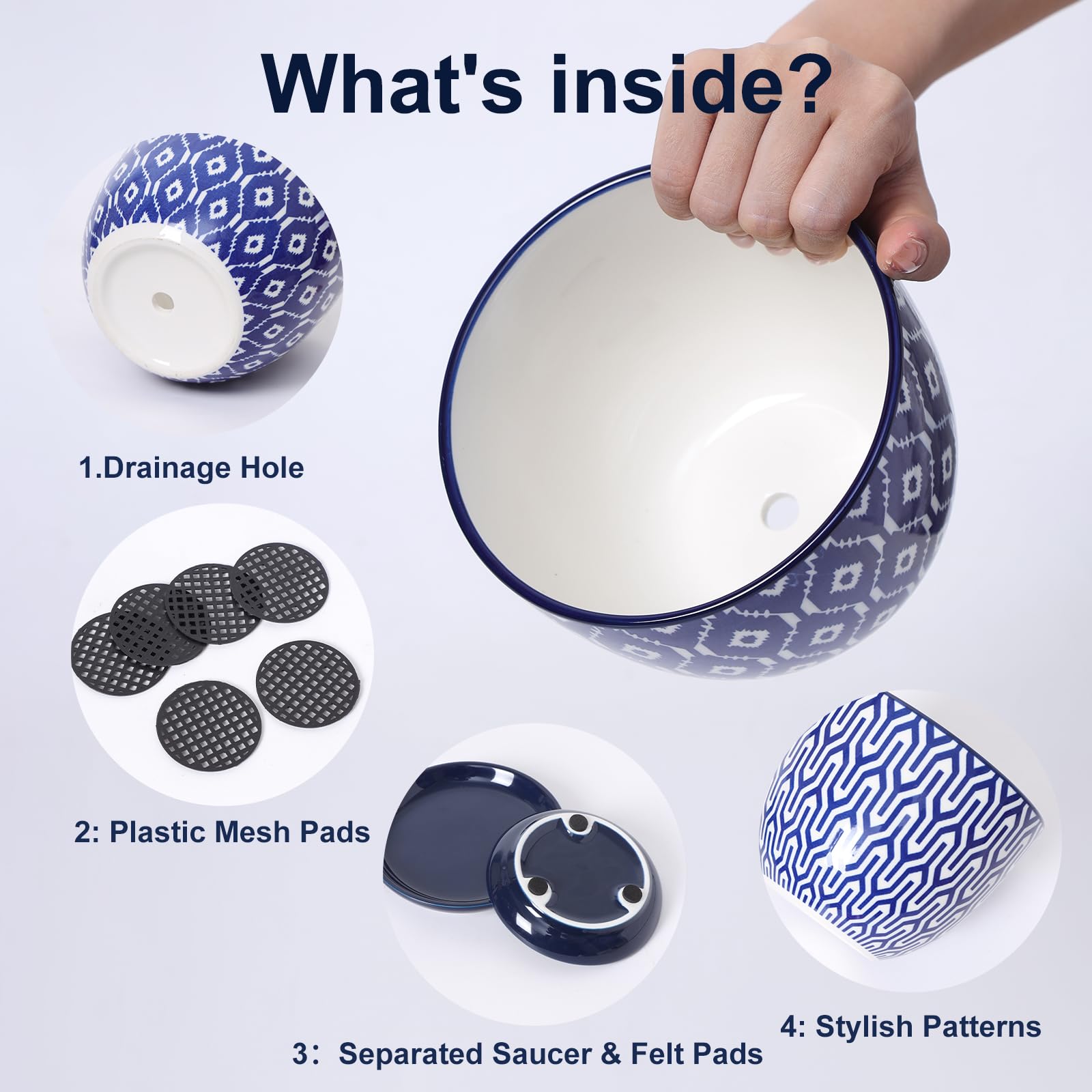 Compact 5.6-inch pot ideal for indoor tabletops and shelves.