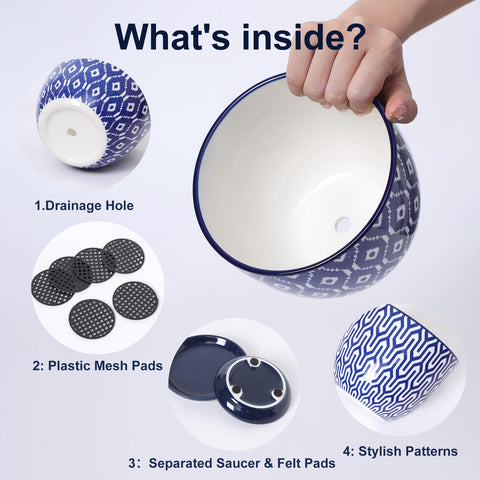 Compact 5.6-inch pot ideal for indoor tabletops and shelves.
