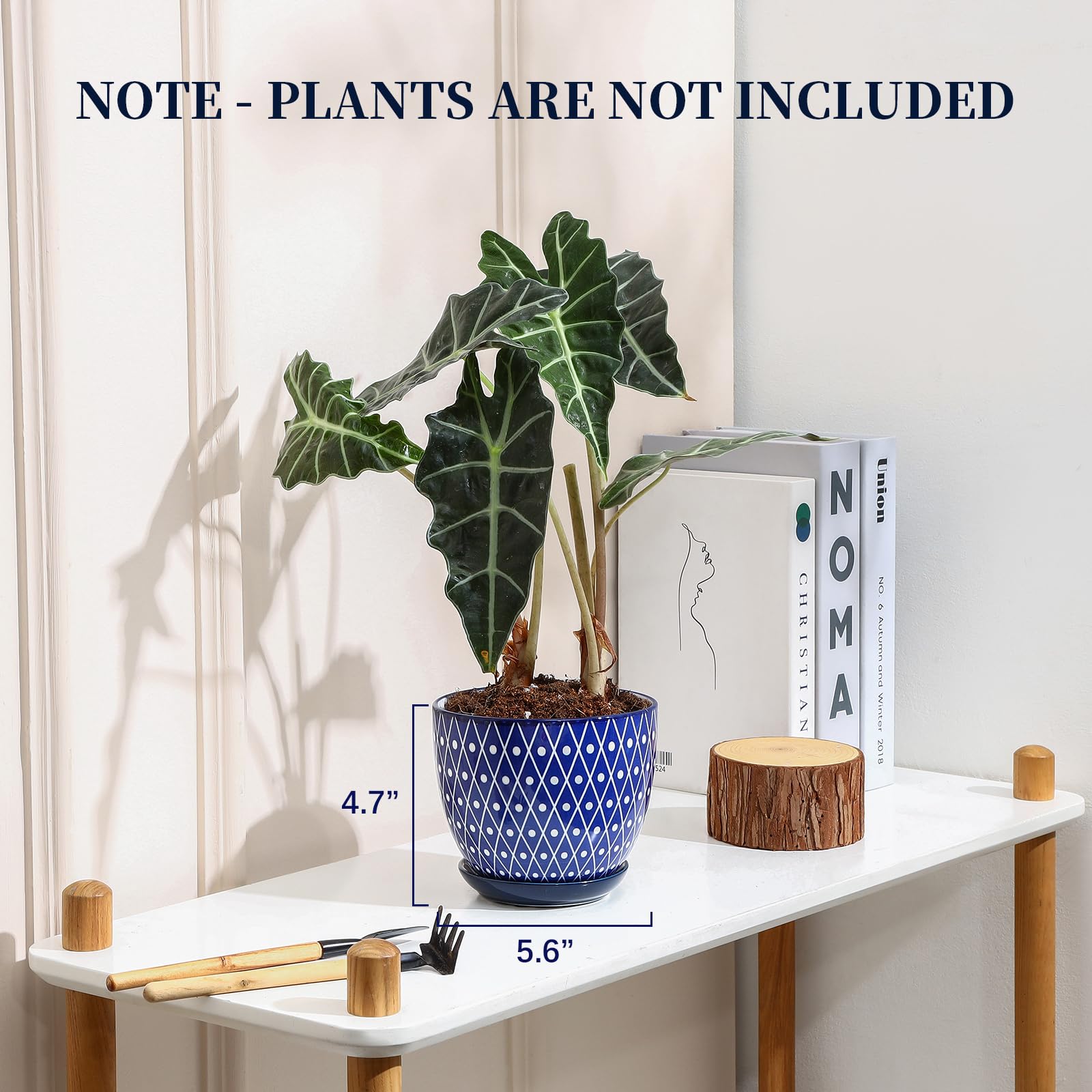 Vintage blue glaze on Selamica pot adds timeless indoor decor touch.