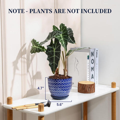 Vintage blue glaze on Selamica pot adds timeless indoor decor touch.