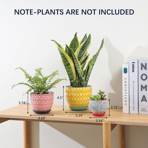 Selamica plant pot with saucer and mesh pad prevents soil loss and spills.