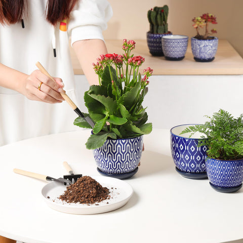 Selamica ceramic pot packaging demonstrates careful protection for shipping