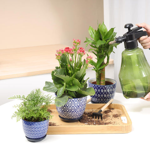 Selamica 4-pack plant pots ideal for succulents and small herbs