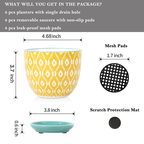 Selamica ceramic pot with saucer to keep surfaces clean.