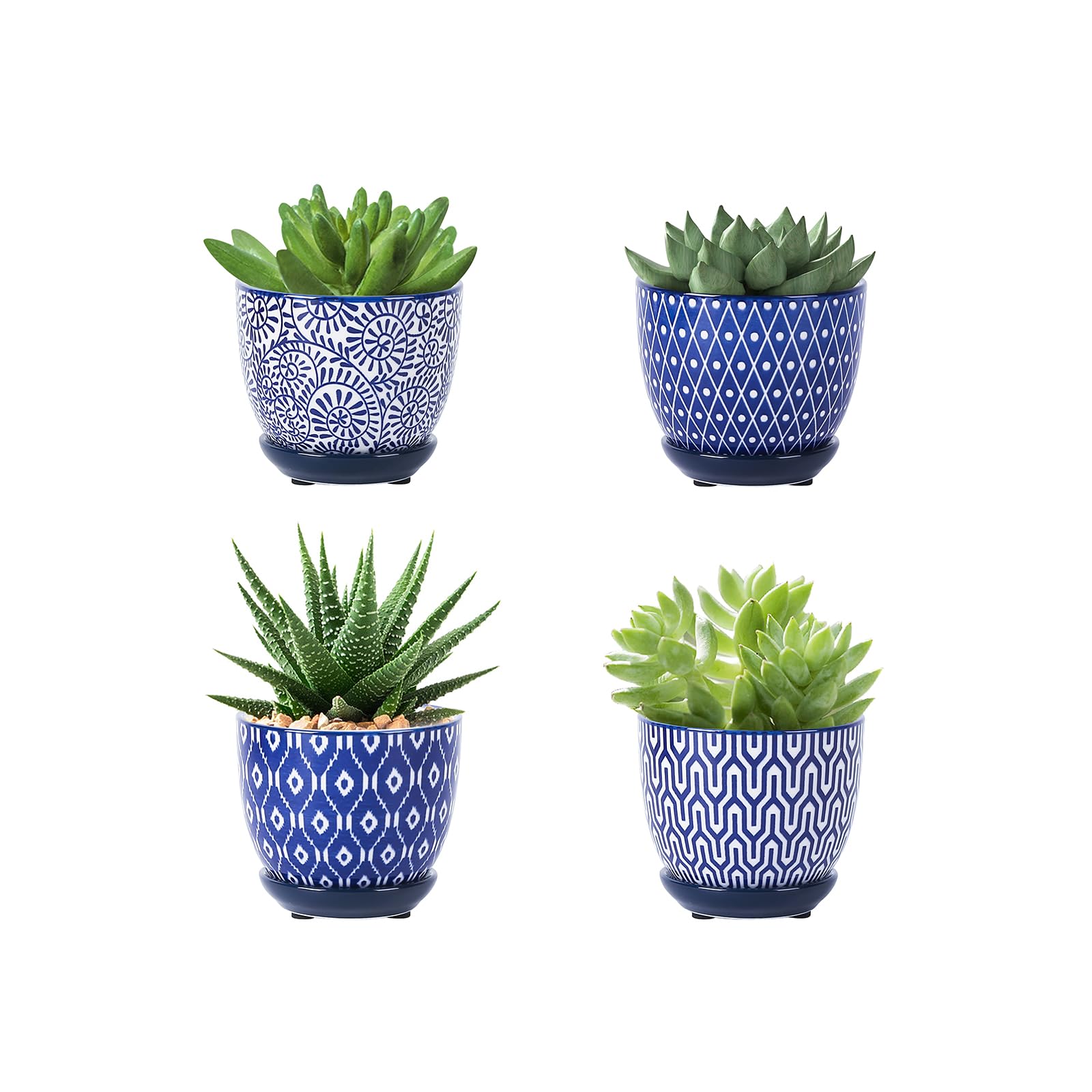 Selamica ceramic succulent pot 3.5 inch with drainage for healthy roots