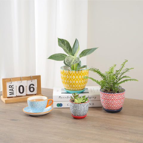 Selamica colorfully styled pots are a gift for plant lovers.