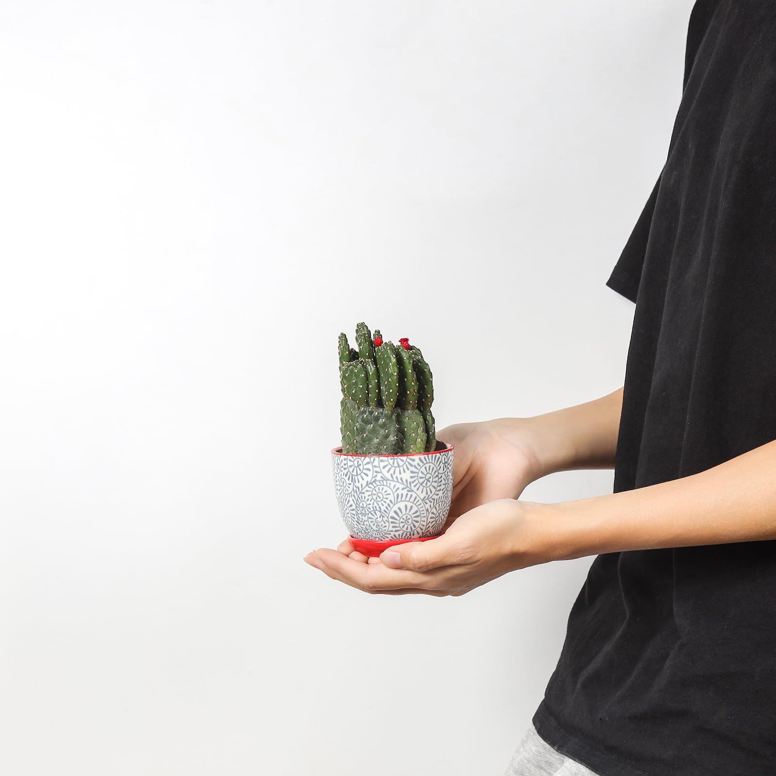 Selamica indoor plant pots fit windowsills and shelves for greenery.