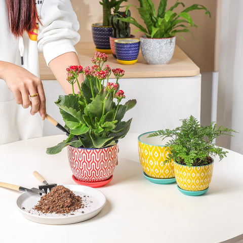 Selamica modern ceramic pot adds vibrant decor to any room.