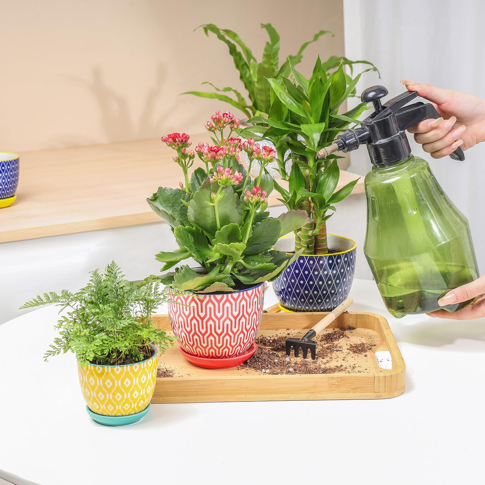 Selamica modern-design ceramic planter complements indoors.