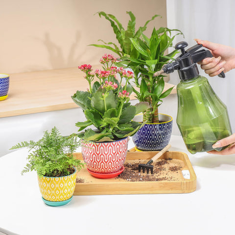 Selamica modern-design ceramic planter complements indoors.