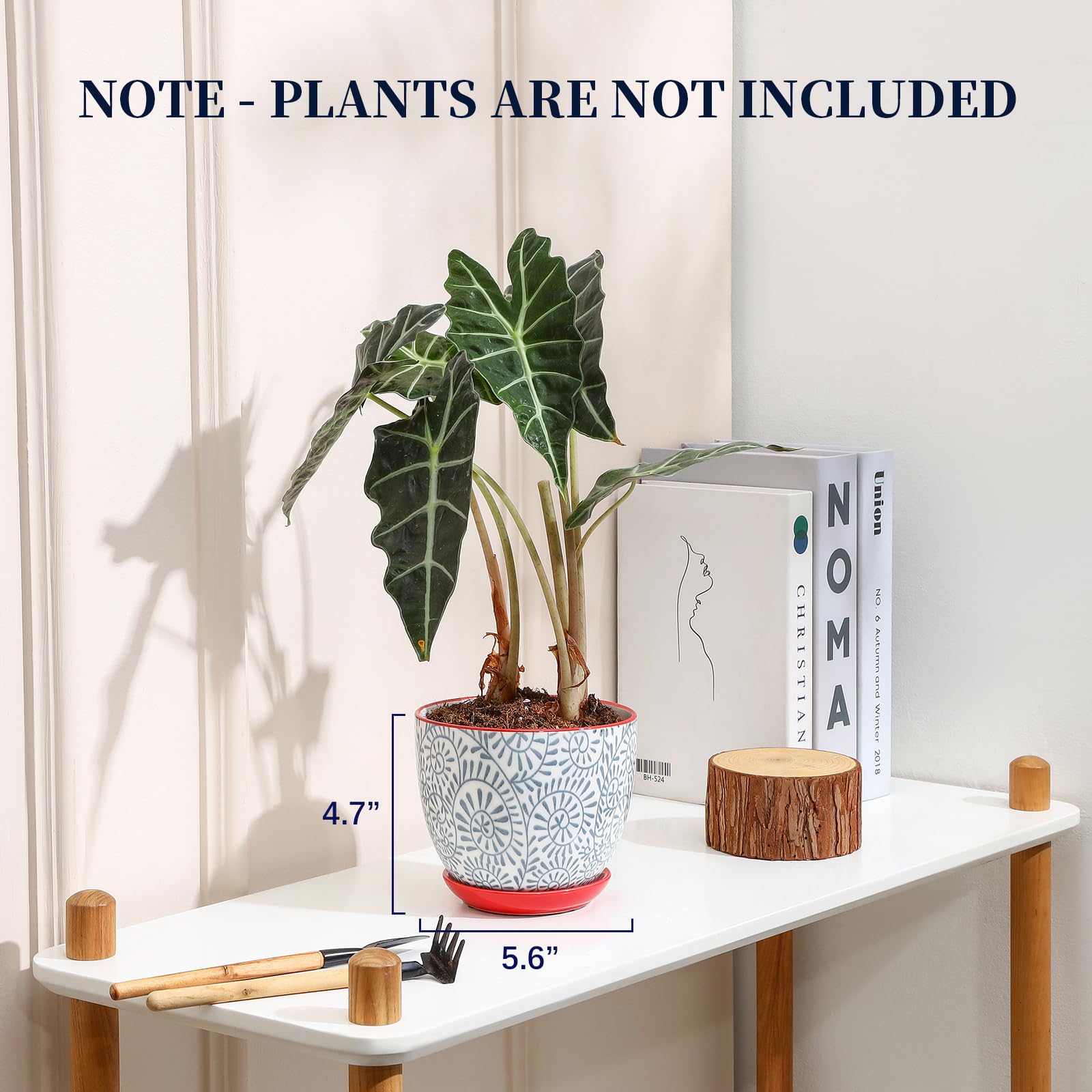 Selamica plant pot with drainage hole supports healthy watering for potted greens.