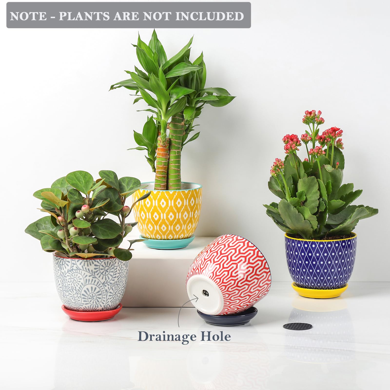 Selamica pot with removable mesh pad prevents soil leakage.