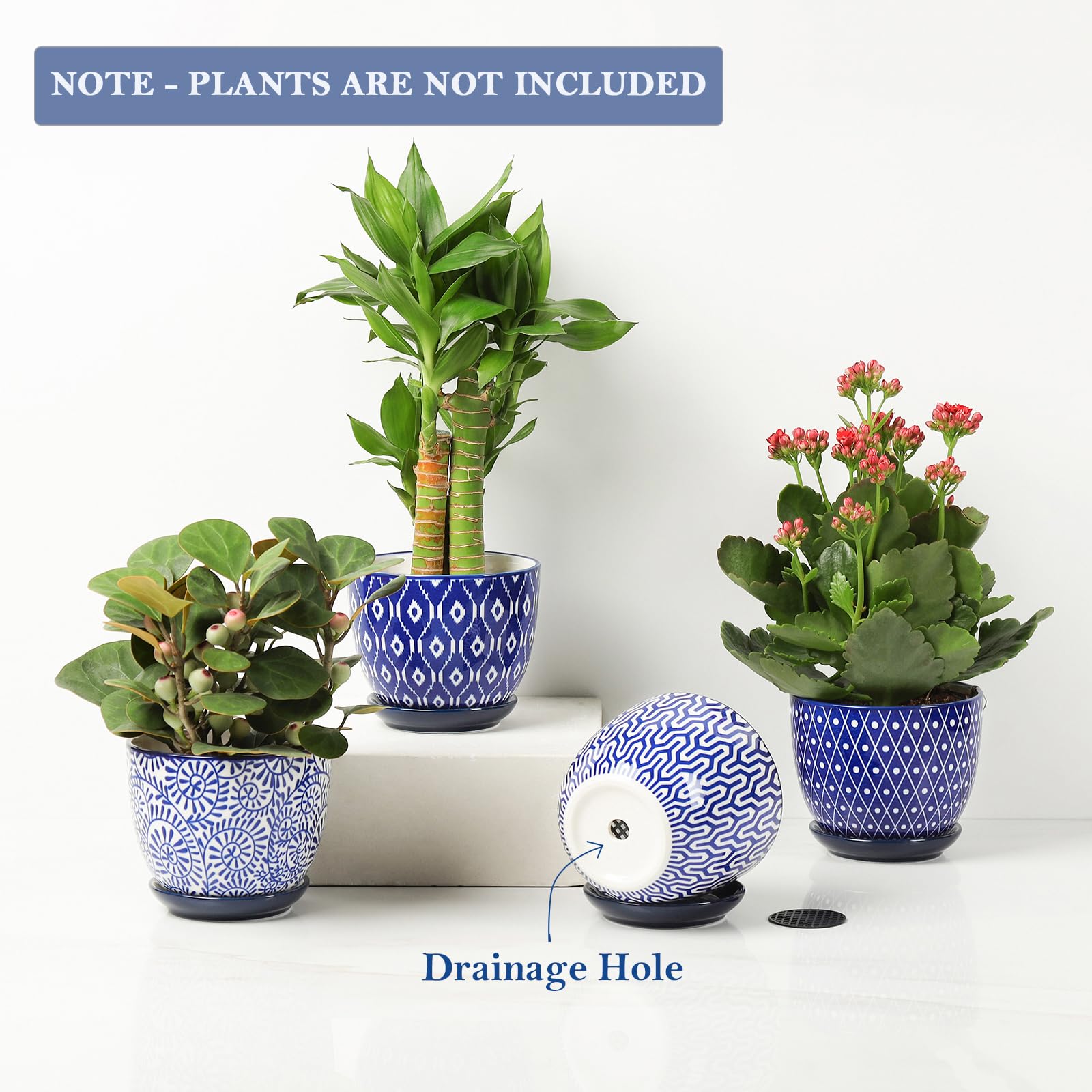 Selamica vintage blue ceramic planter enhances indoor decor