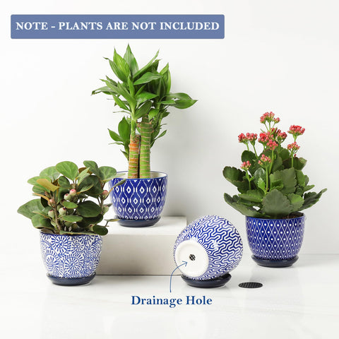 Selamica vintage blue ceramic planter enhances indoor decor