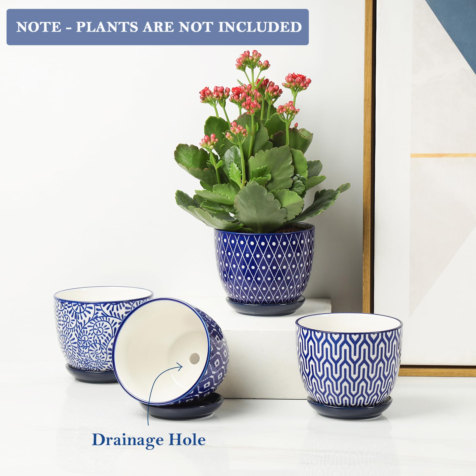Selamica vintage blue ceramic pot with mesh pad showing soil retention