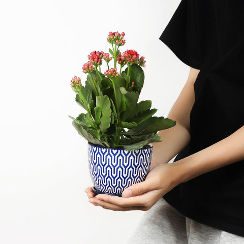 Selamica vintage blue ceramic pot side view showing sleek silhouette for decor