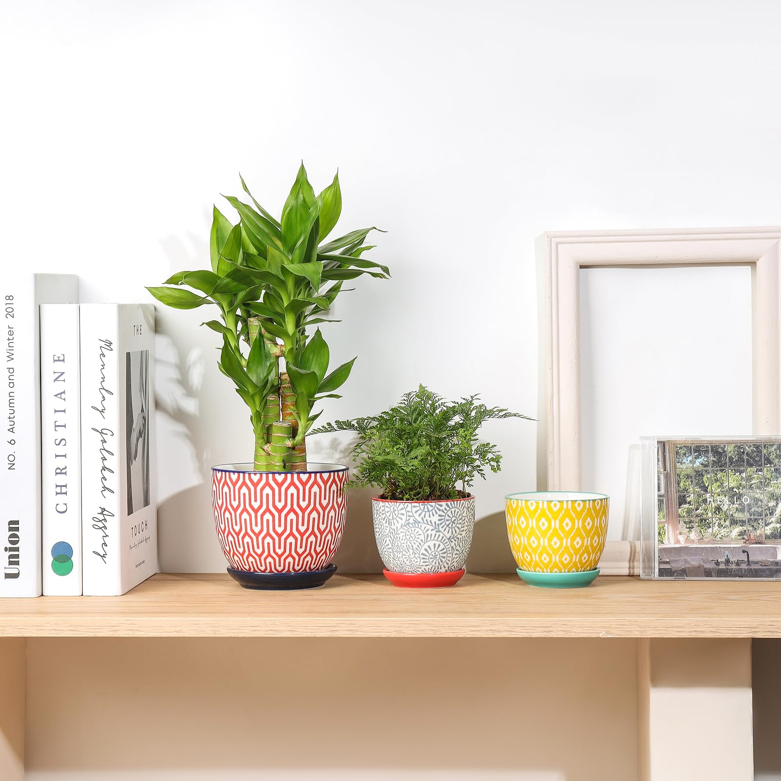 Selamica 4-pack adds color to windowsill decor.