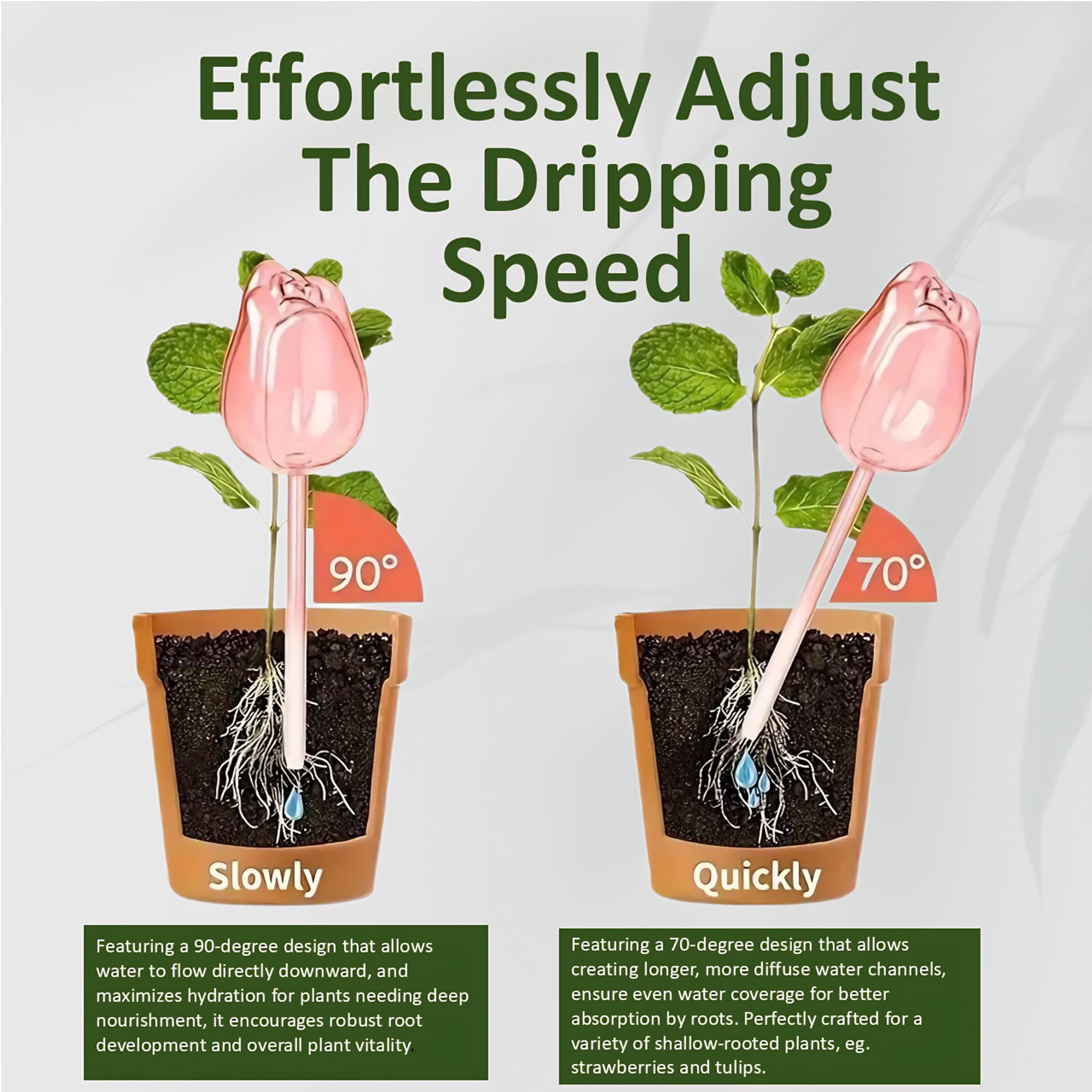 Self-watering globe keeps plants hydrated during vacations or busy days