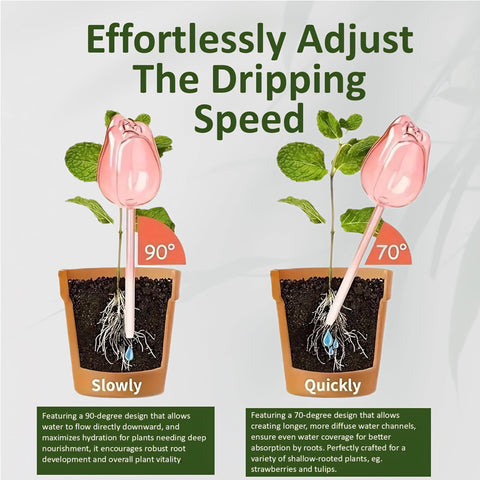Self-watering globe keeps plants hydrated during vacations or busy days
