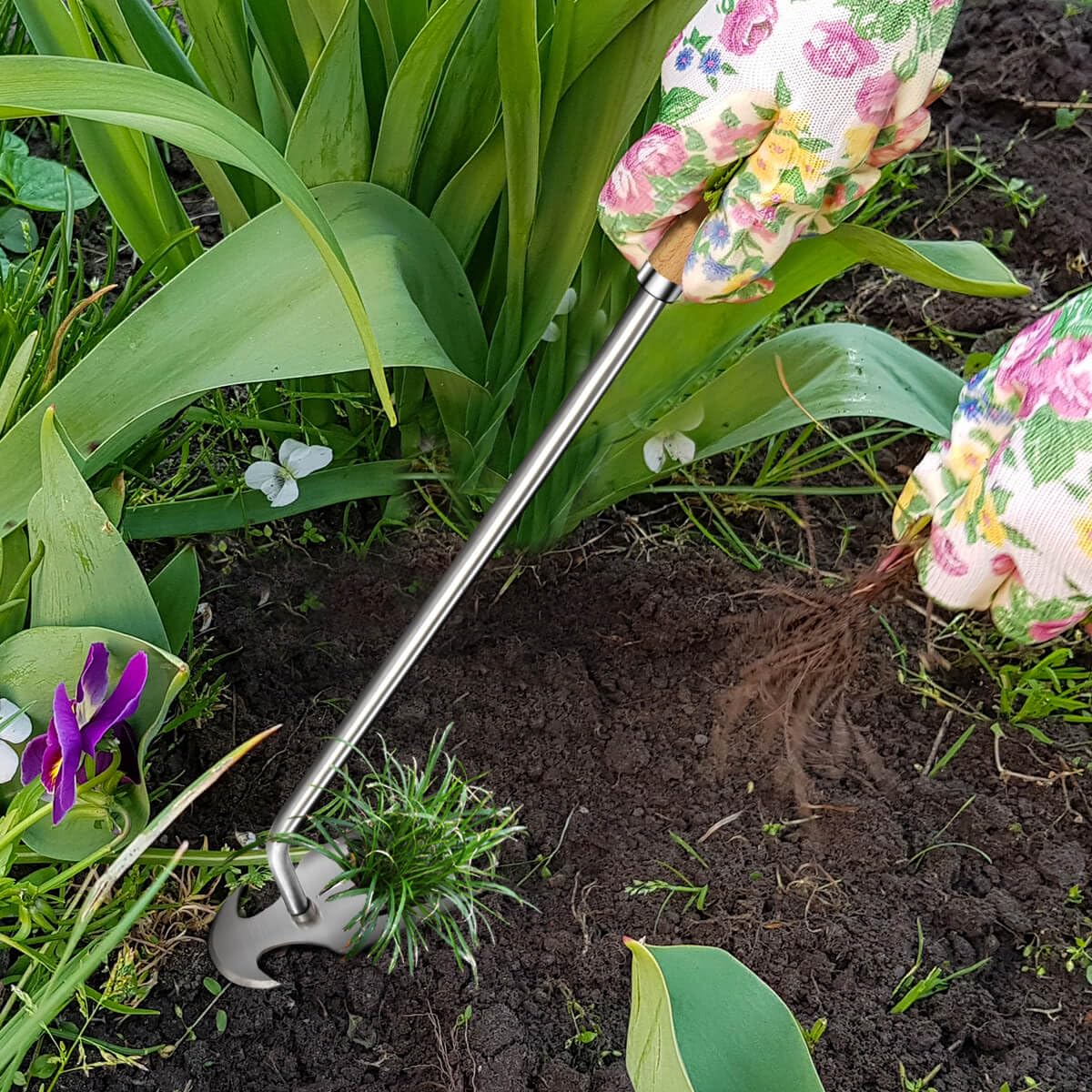 Semifrut portable weed puller for on-the-go gardening.