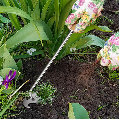 Semifrut portable weed puller for on-the-go gardening.