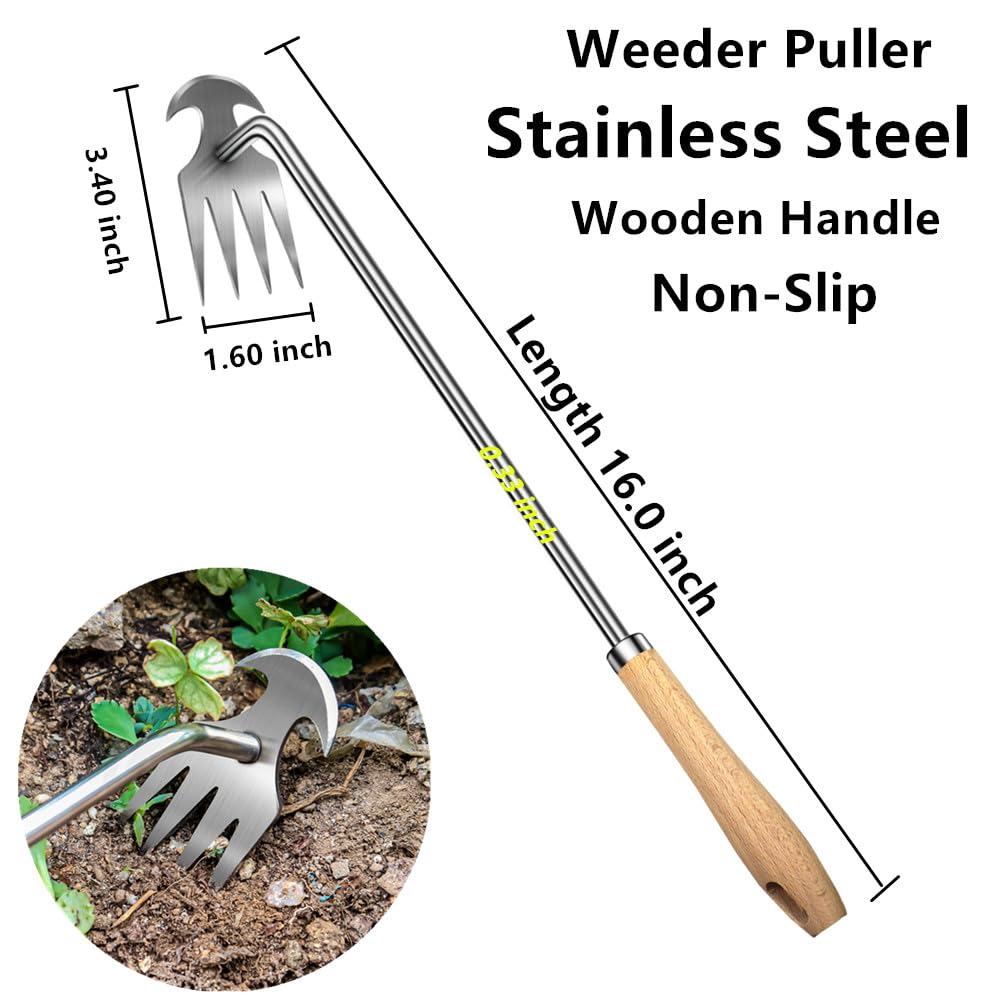 Semifrut four-tine stainless head for durable weed removal.