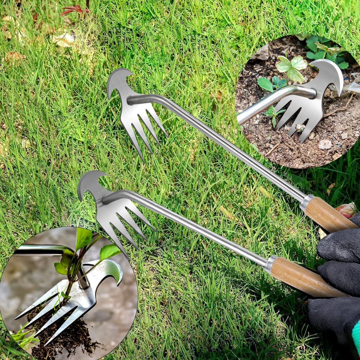 Semifrut weed removal tool suitable for lawns and beds.