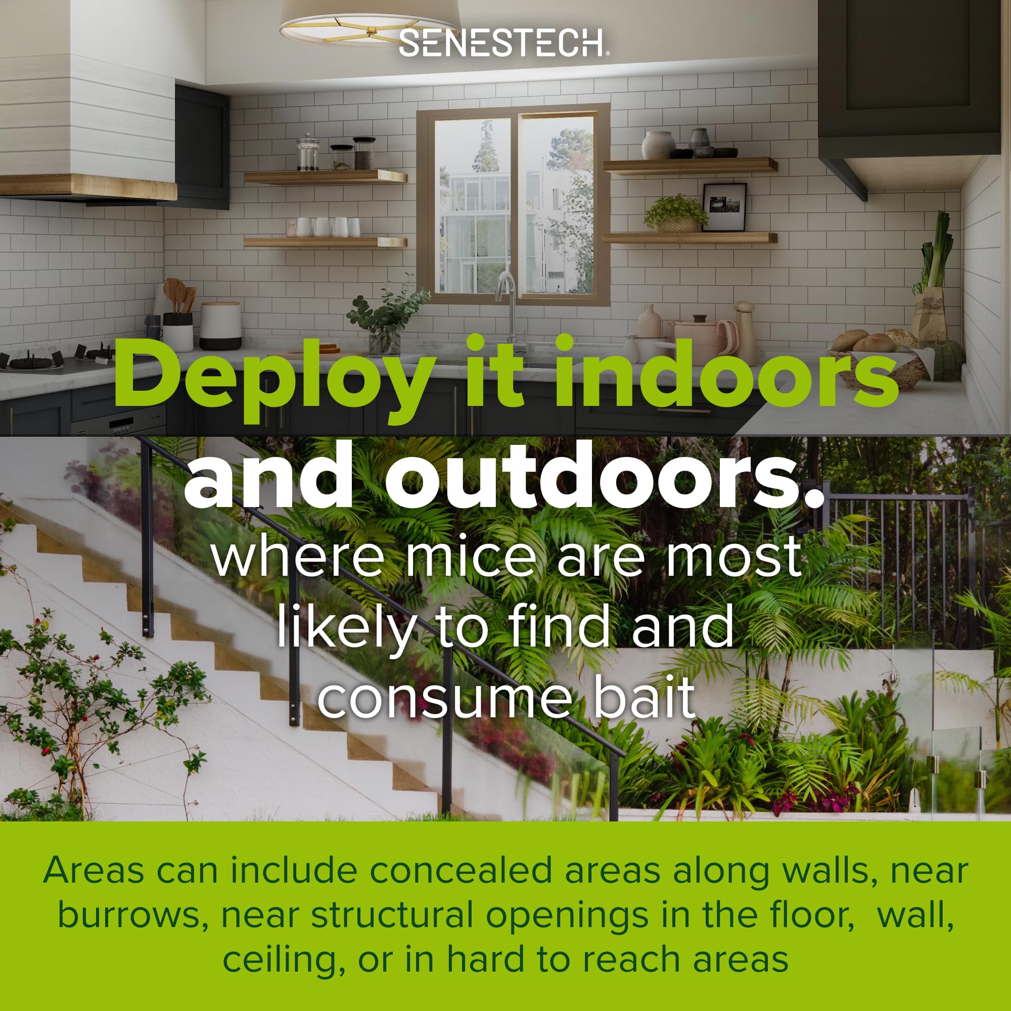 SenesTech Evolve Birth Control bait pieces beside garden shed for pest control