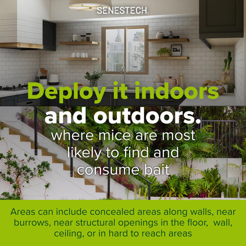 SenesTech Evolve Birth Control bait pieces beside garden shed for pest control