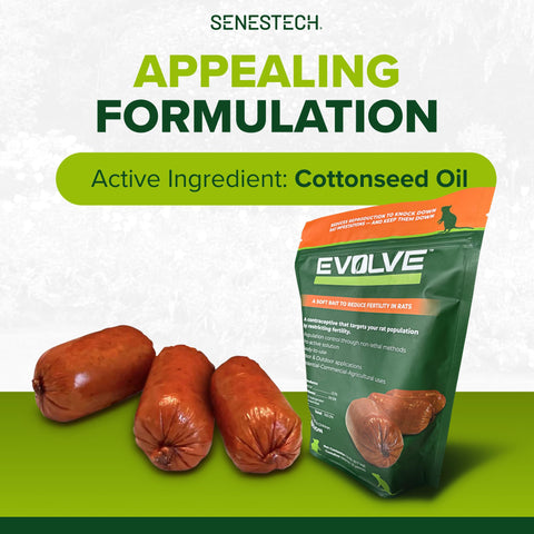 Indoor-use station with Evolve sausages for controlled placement.