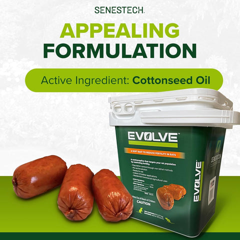Texture may appear oily in warm temperatures, then resolidifies when cooler.
