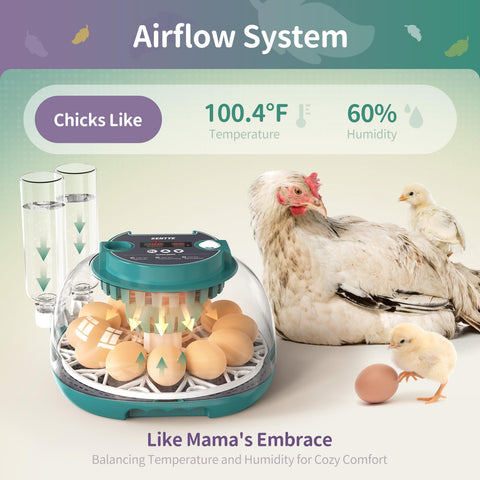 SENTYE egg-turner inside incubator rotates eggs for consistent hatch timing