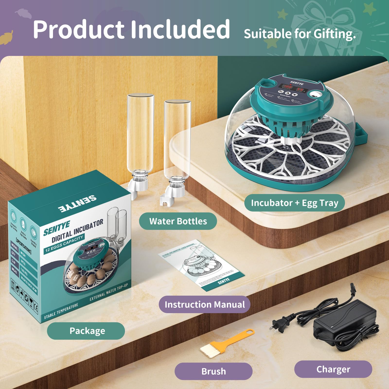 SENTYE multi-egg compatibility incubator supports various bird eggs at home