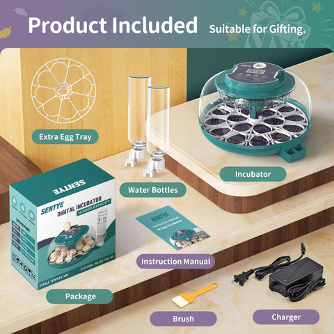 SENTYE dome lid allows continuous observation while the built-in light highlights development.