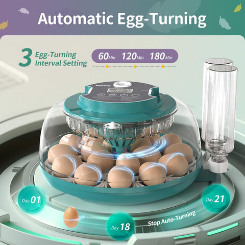 SENTYE holds up to 18 chicken or 40 quail eggs for home use.