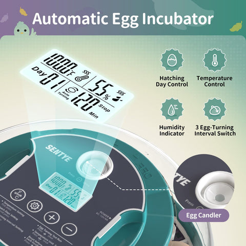 SENTYE large-capacity incubator supports turning to promote even embryo development.