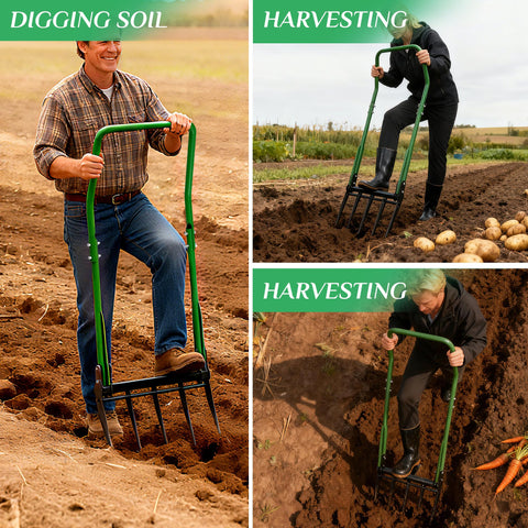 Senvert Broad Fork helps harvest root vegetables with improved soil access.