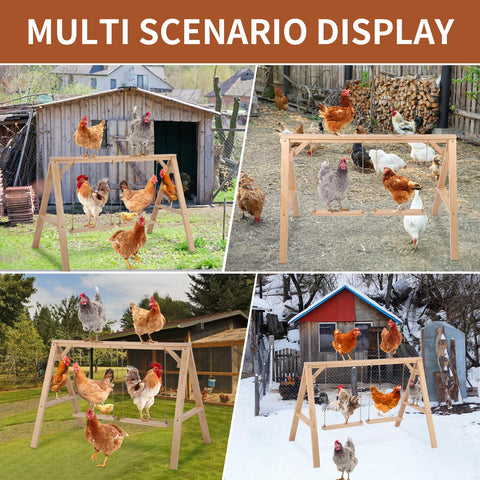 SENXILLER versatile coop accessory enhances flock comfort and play.
