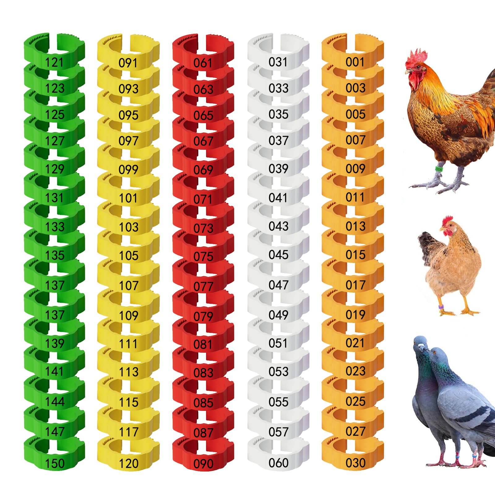 senylanhxy 150-pack leg bands in five colors for quick poultry ID