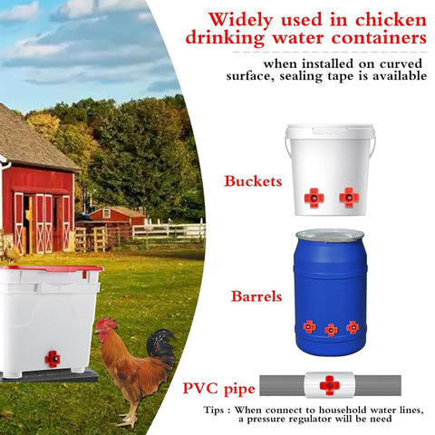 Senylanhxy poultry watering system setup on-farm boosts efficiency