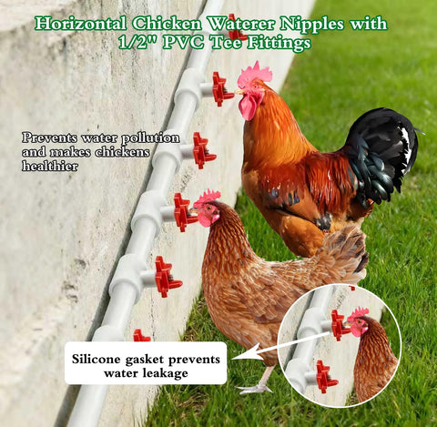 Senylanhxy waterer in use keeps drinking water clean and accessible for birds