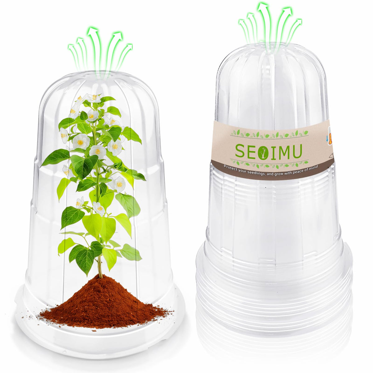 SEOIMU 10 Pcs transparent garden cloche top view protects seedlings and preserves light.